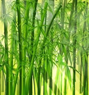  The Legend of the Bamboo Tree! A Vietnamese Folk Tale of Hope and Perseverance from the 11th Century